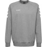 GRIS