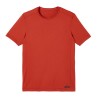 ROUGE_BRIQUE